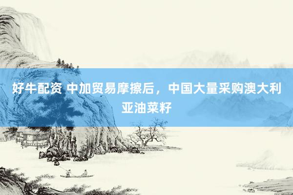 好牛配资 中加贸易摩擦后，中国大量采购澳大利亚油菜籽