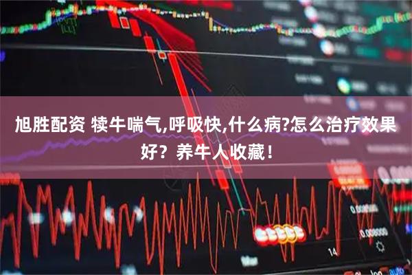 旭胜配资 犊牛喘气,呼吸快,什么病?怎么治疗效果好？养牛人收藏！