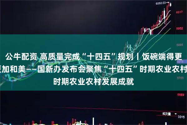 公牛配资 高质量完成“十四五”规划丨饭碗端得更牢 乡村更加和美——国新办发布会聚焦“十四五”时期农业农村发展成就