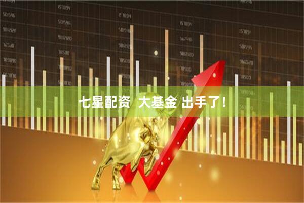 七星配资  大基金 出手了！
