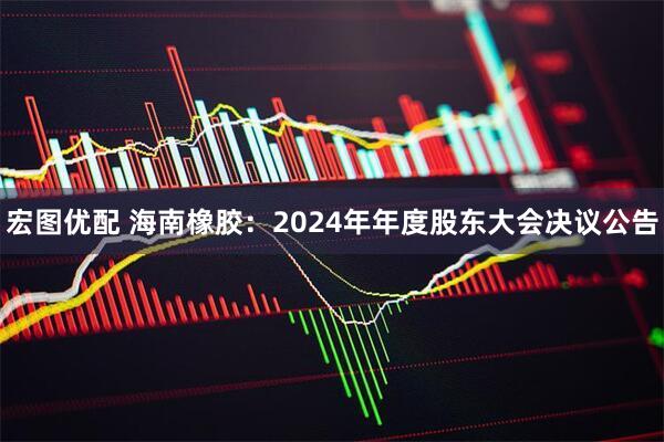 宏图优配 海南橡胶：2024年年度股东大会决议公告